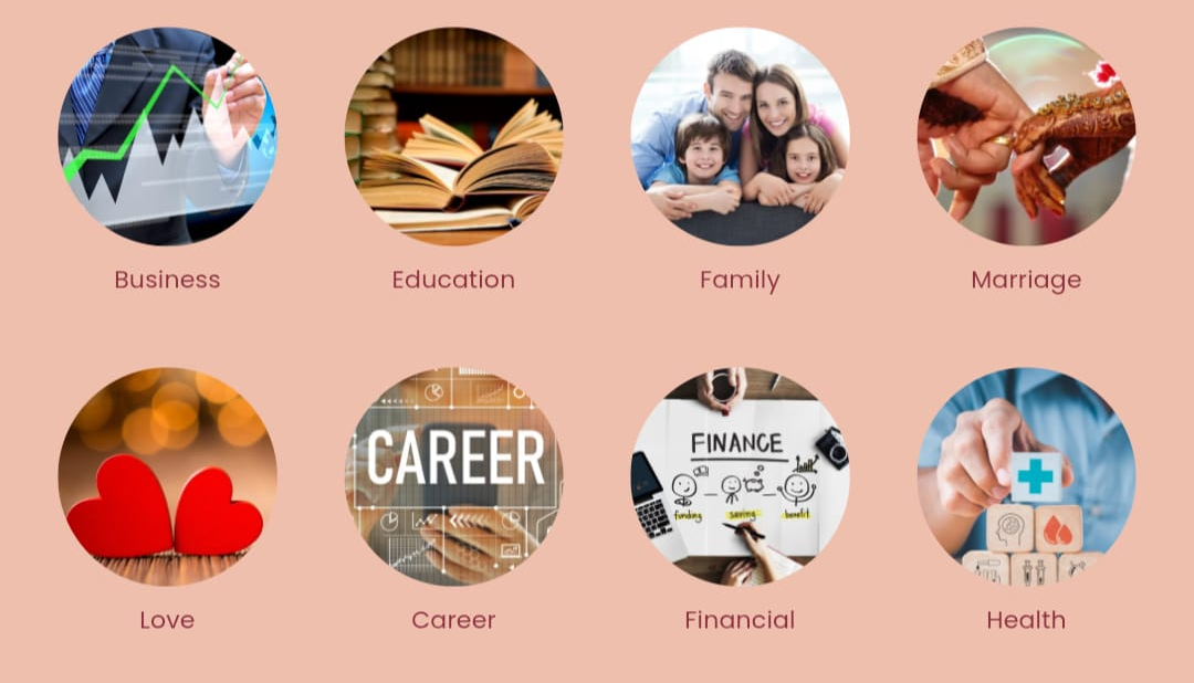 Nadi Jyotish life areas - Business, Education, Family, Marriage, Love, Career, Financial, Health